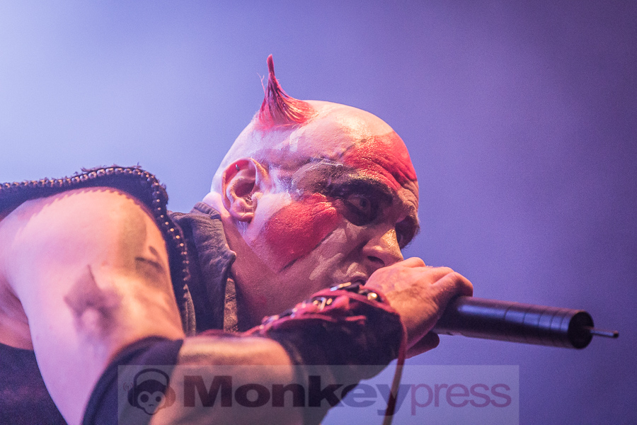 Tanzwut, © Danny Sotzny