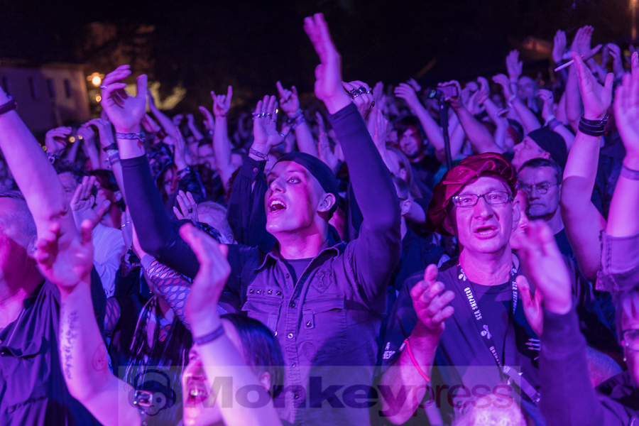 Tanzwut, © Danny Sotzny