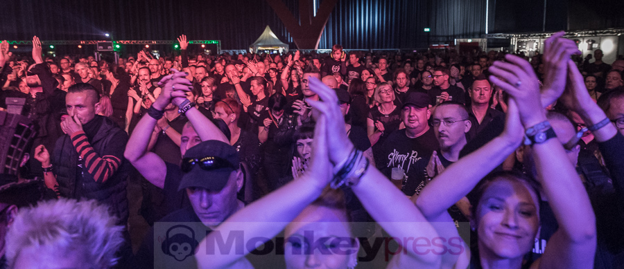 Decoded Feedback, © Danny Sotzny