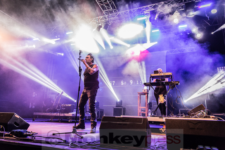 Decoded Feedback, © Danny Sotzny