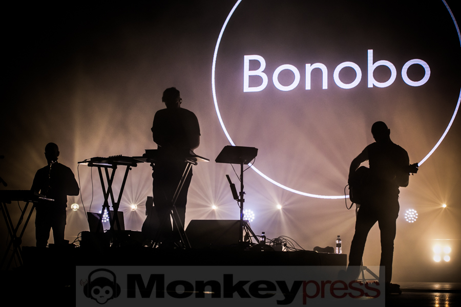 Bonobo, © André Techert