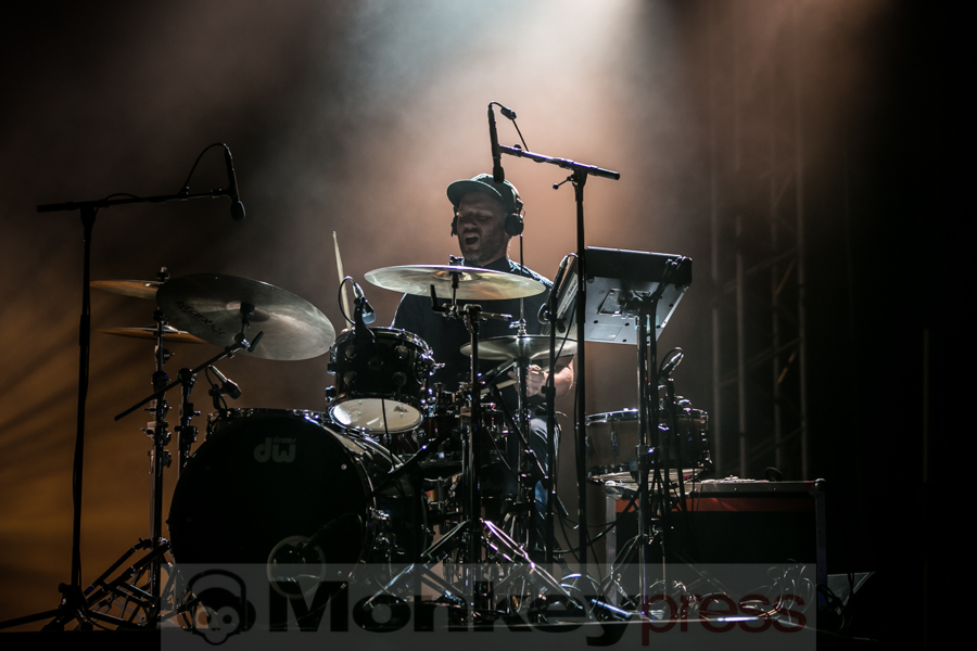 Bonobo, © André Techert