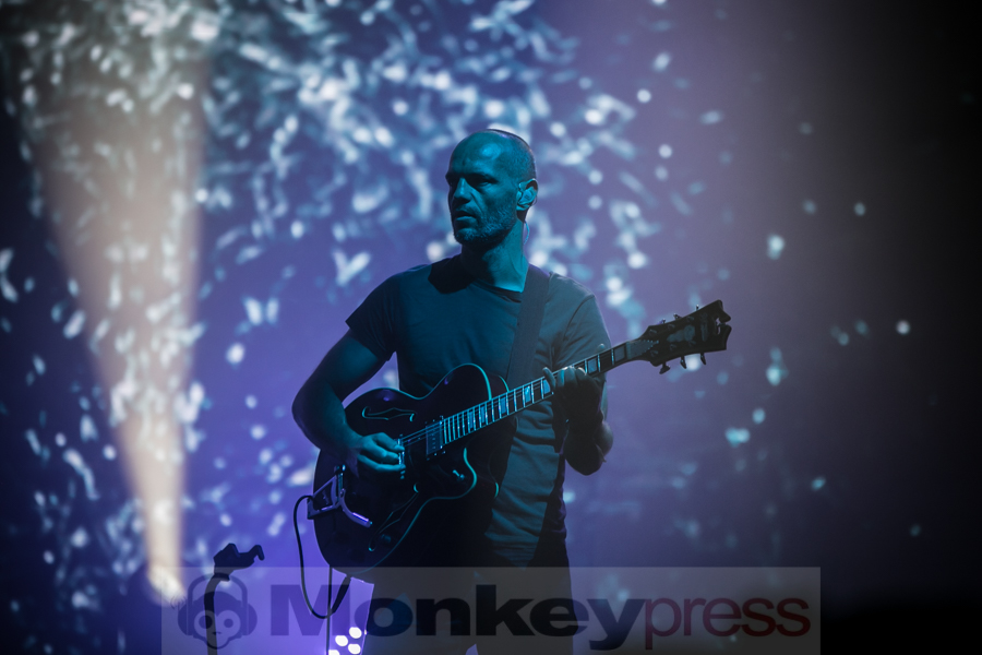 Bonobo, © André Techert