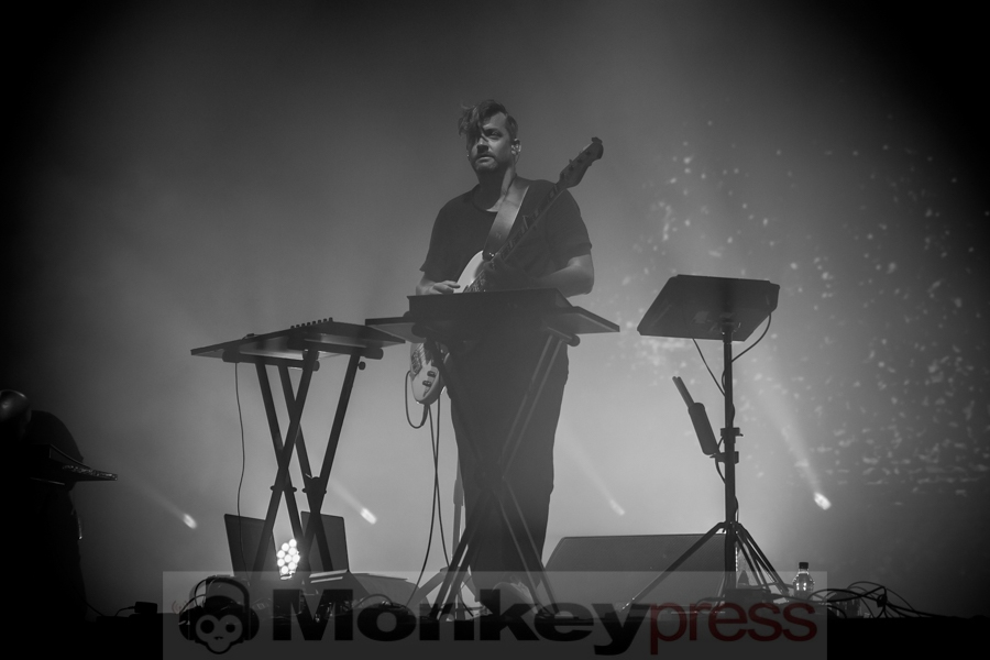 Bonobo, © André Techert