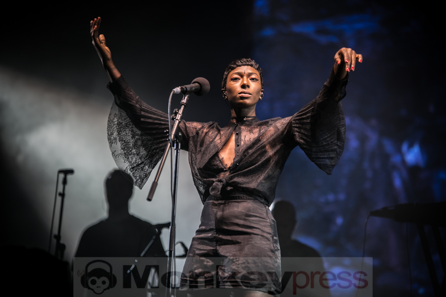 Bonobo, © André Techert