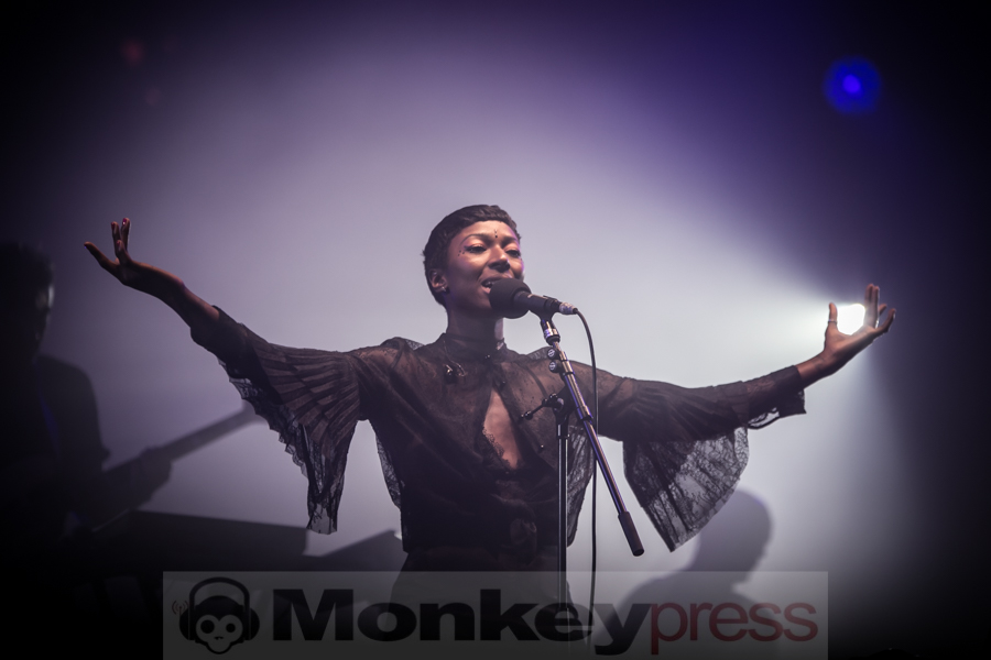Bonobo, © André Techert