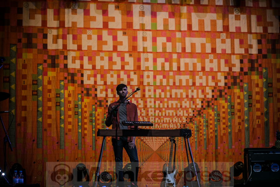 Glass Animals, © André Techert