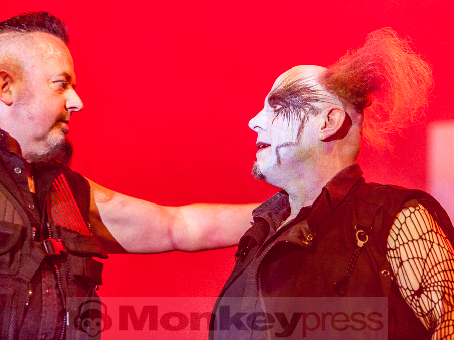 Dorsetshire, © Dietmar Grabs