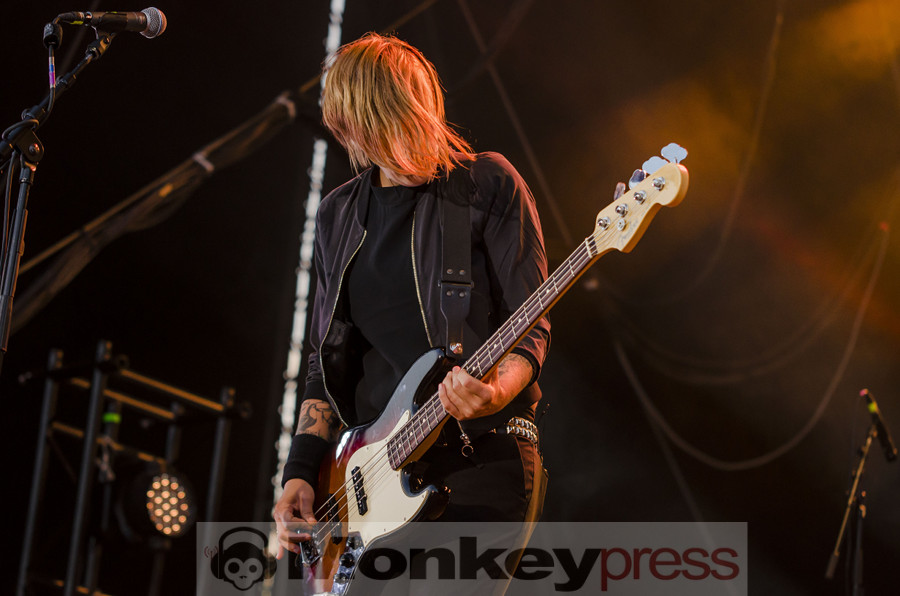 Broilers ©Jan Focken