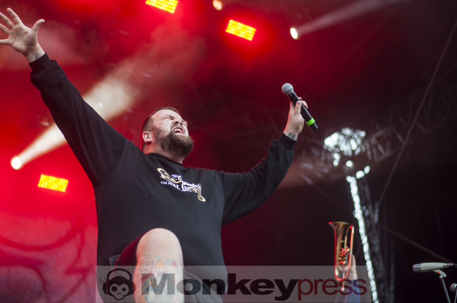 Feine sahne filschfilet ©Jan Focken