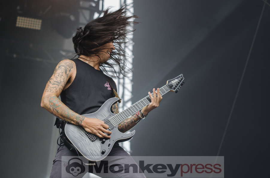 Of mice and men ©Jan Focken