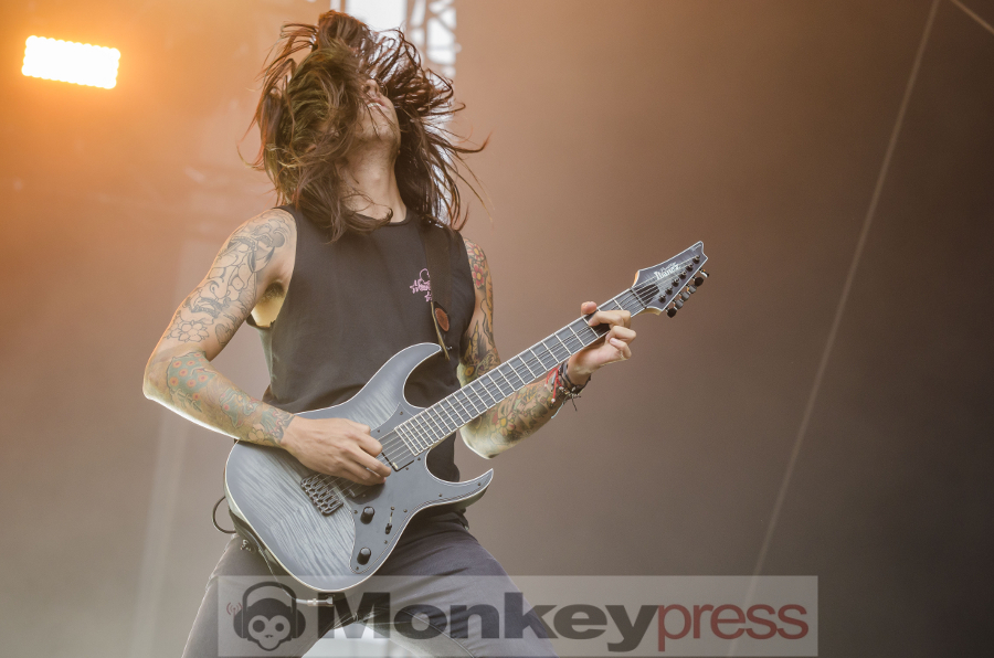 Of mice and men ©Jan Focken