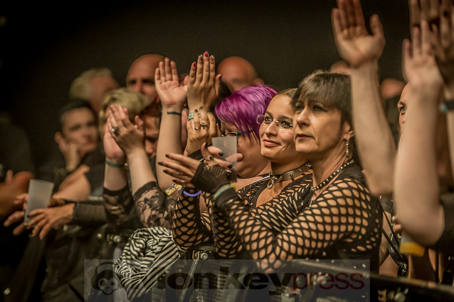 Cephalgy, © Danny Sotzny