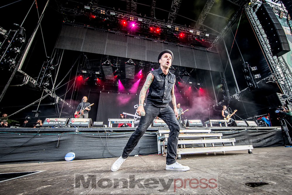 Donots, © Alexander Jung