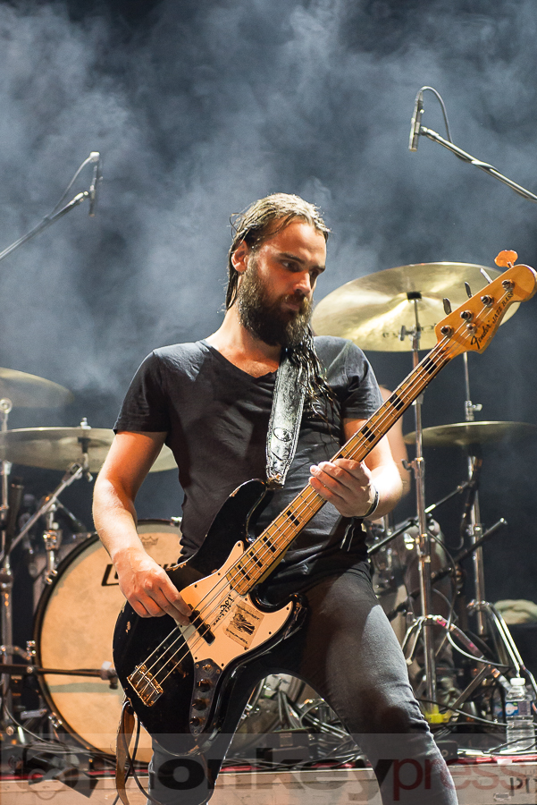 Dool © Thomas Papenbreer