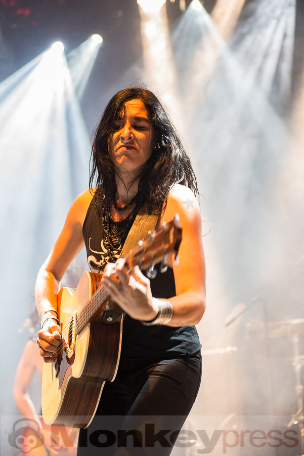 Dool © Thomas Papenbreer