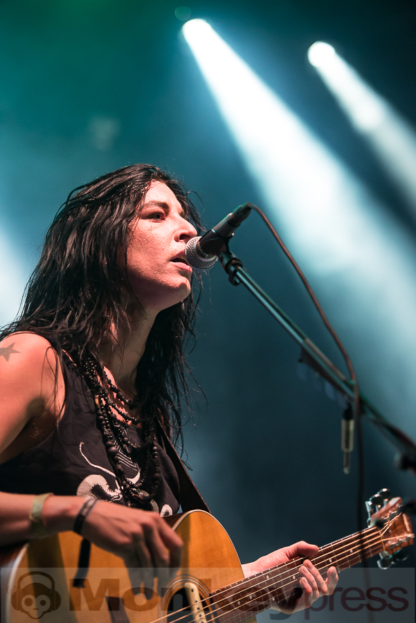 Dool © Thomas Papenbreer