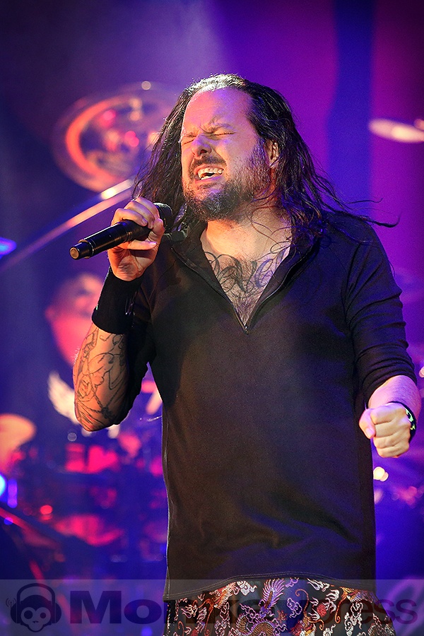 Korn, © Sandro Griesbach