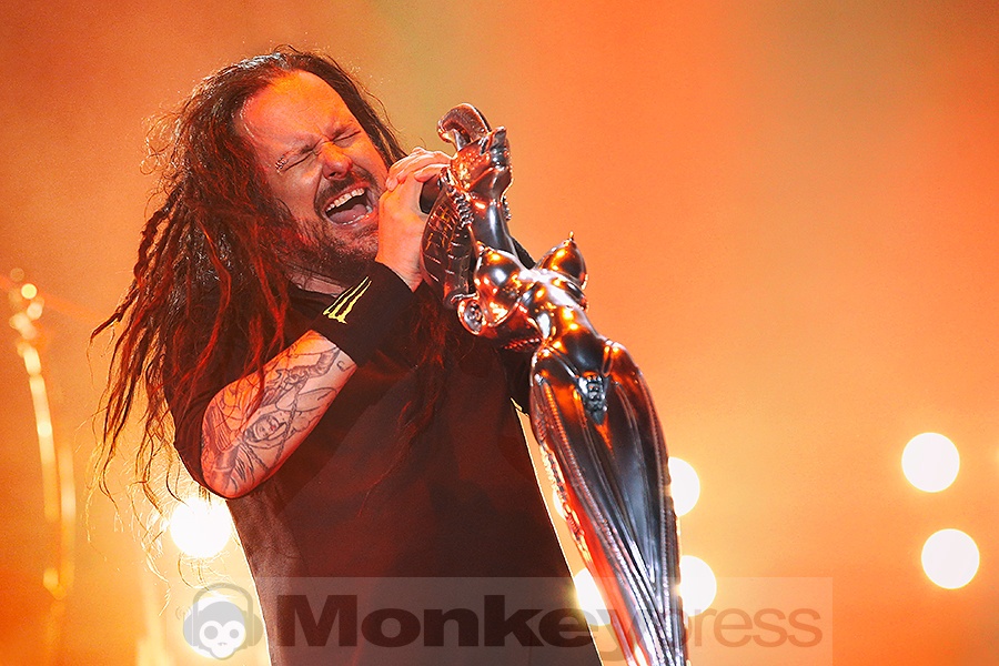 Korn, © Sandro Griesbach