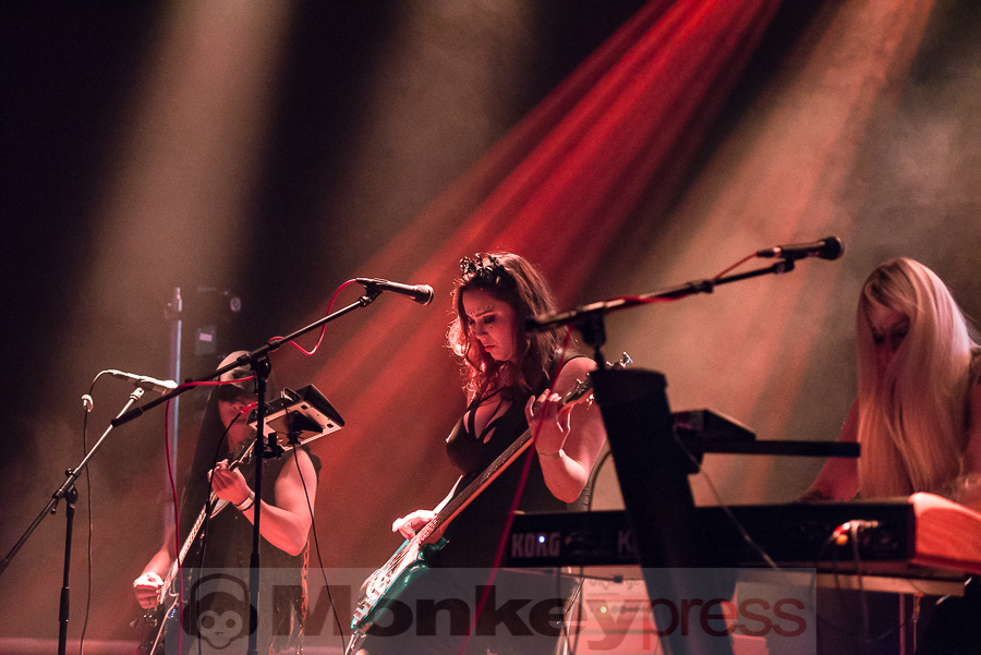 LOTUS THIEF © Thomas Papenbreer