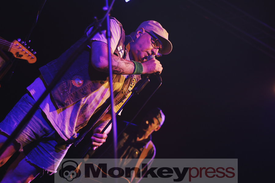 Ratttengold, © Claudia Helmert