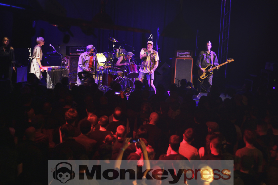 Ratttengold, © Claudia Helmert