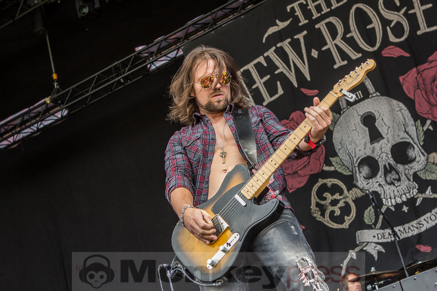 The New Roses, © Markus Hillgärtner