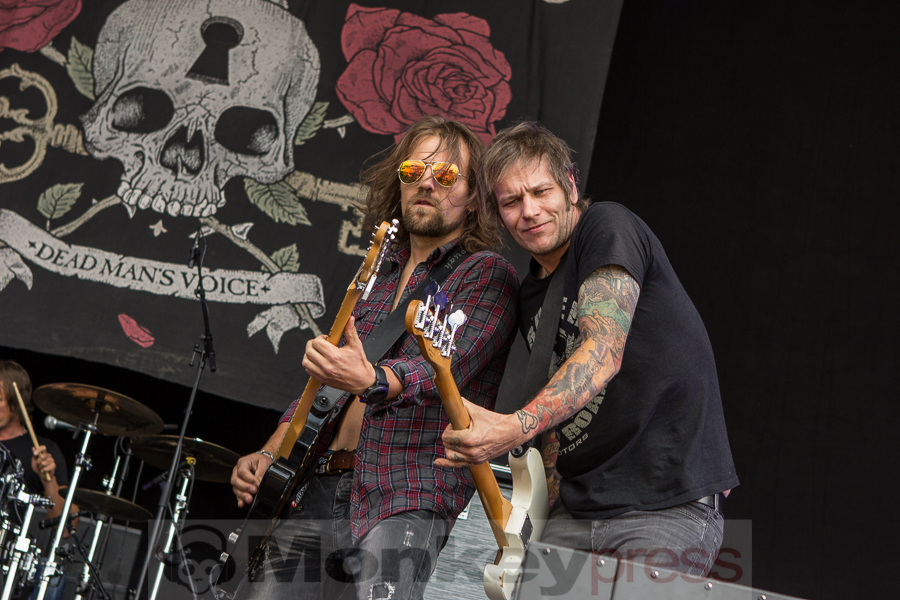 The New Roses, © Markus Hillgärtner