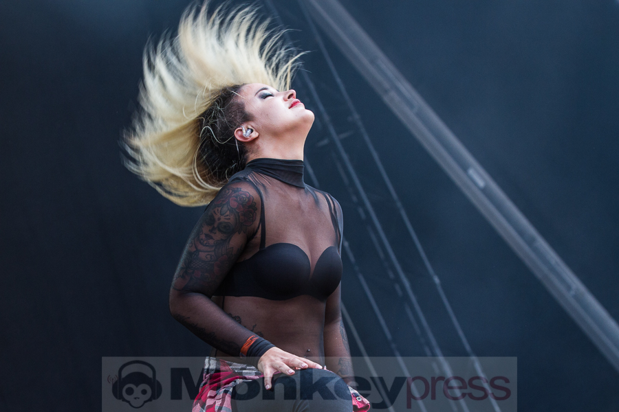 The Charm The Fury, © Markus Hillgärtner