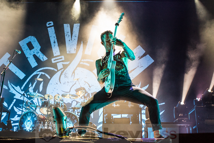 Trivium, © Markus Hillgärtner