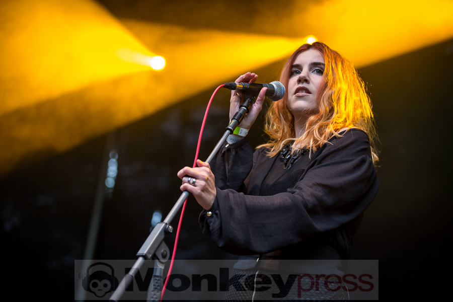 Me The Tiger, © Thomas Bunge