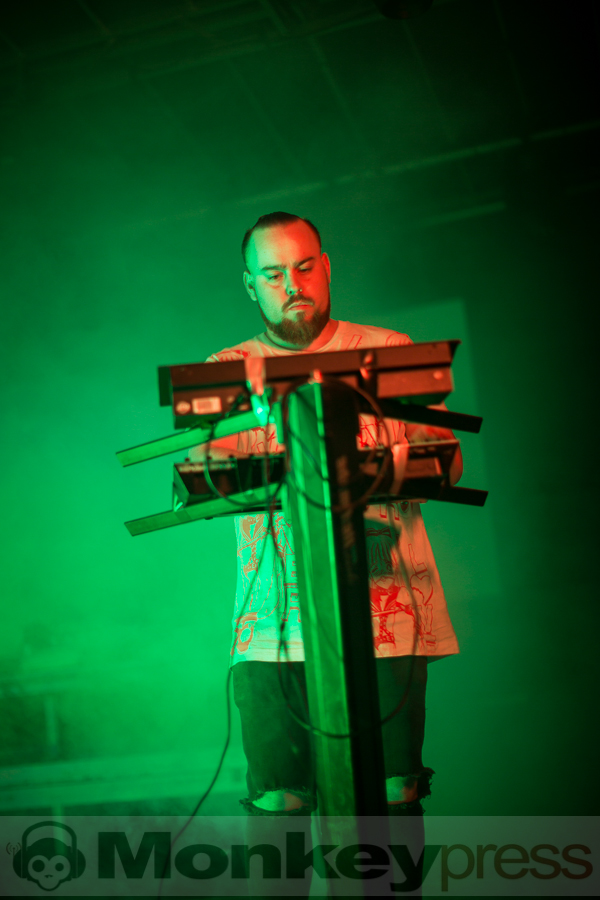 Mr. Kitty, © Thomas Bunge