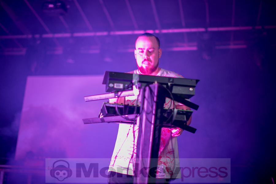 Mr. Kitty, © Thomas Bunge