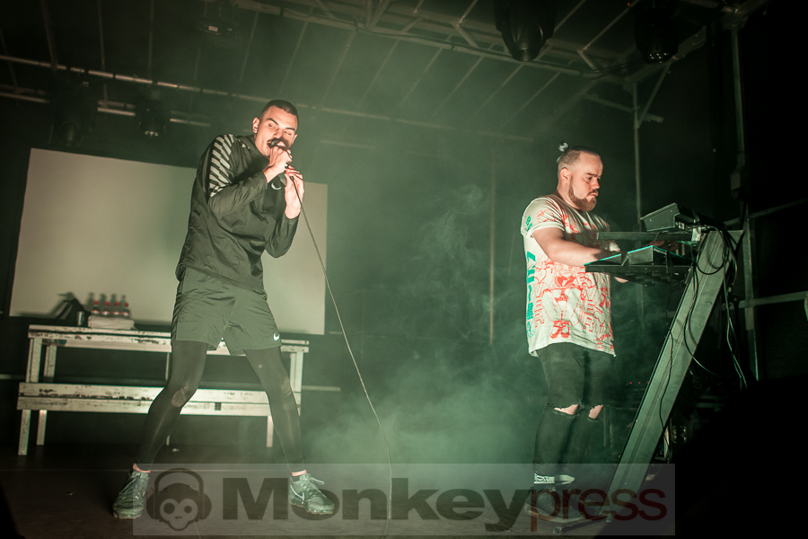 Mr. Kitty, © Thomas Bunge