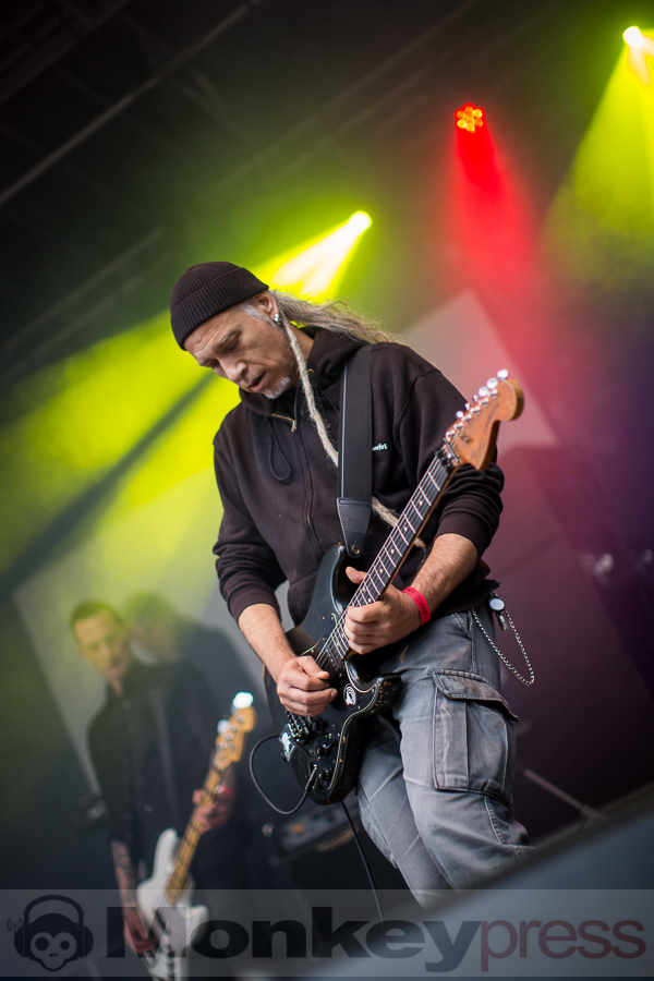 Golden Apes, © Thomas Bunge