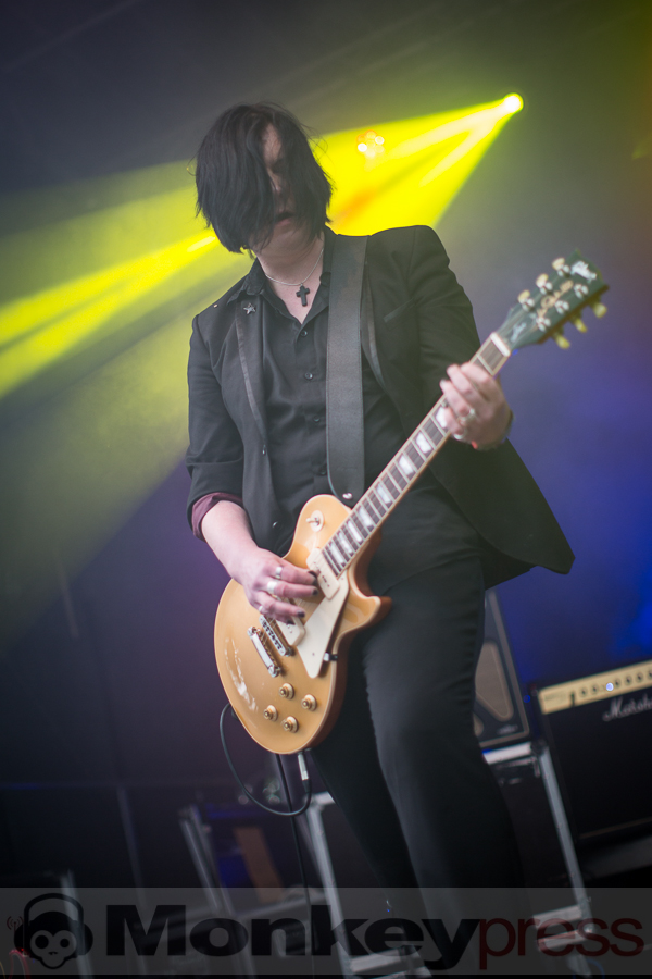 Golden Apes, © Thomas Bunge