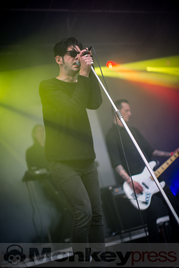 Golden Apes, © Thomas Bunge