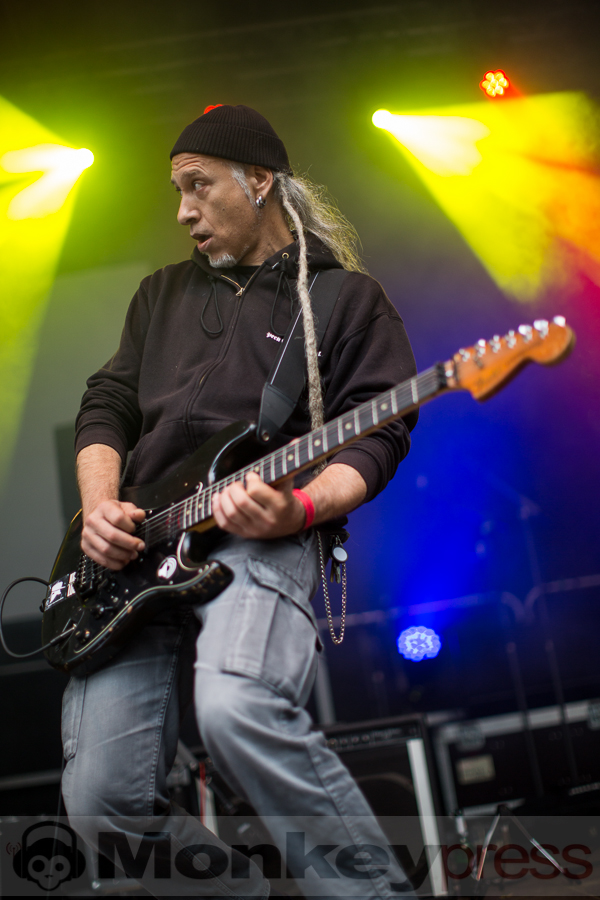 Golden Apes, © Thomas Bunge