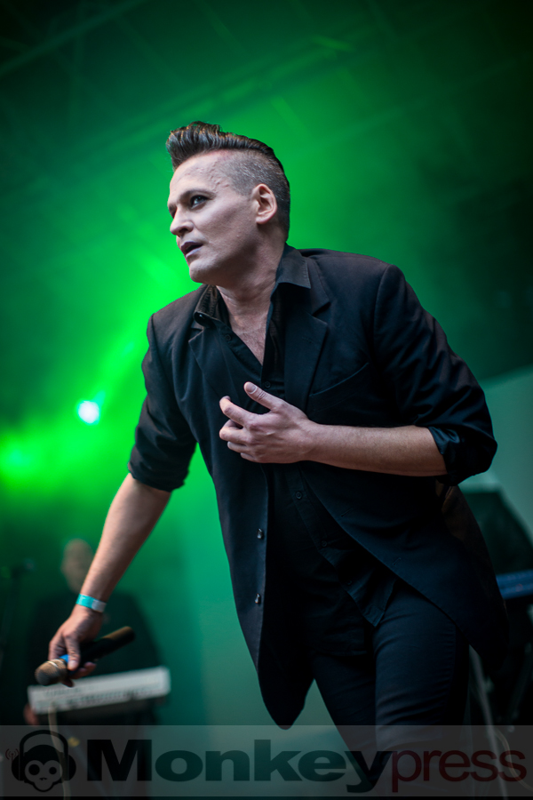 Elegant Machinery, © Thomas Bunge