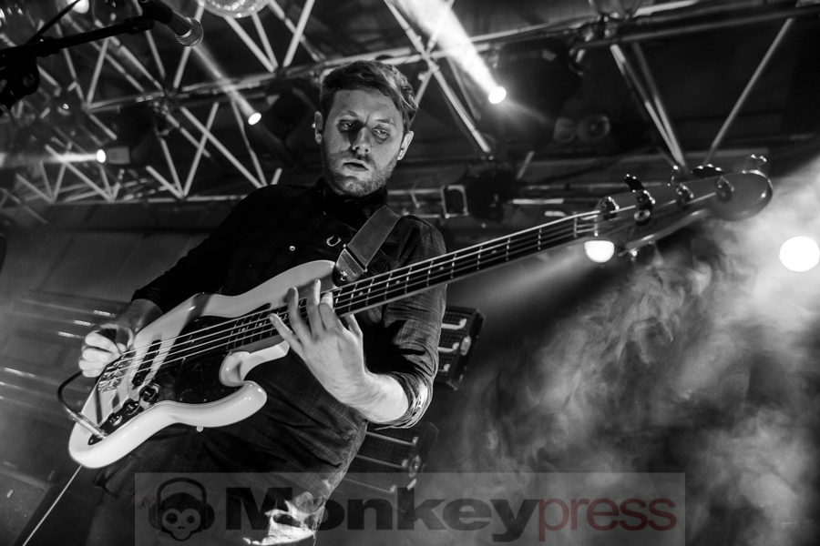 I Heart Sharks, © André Techert