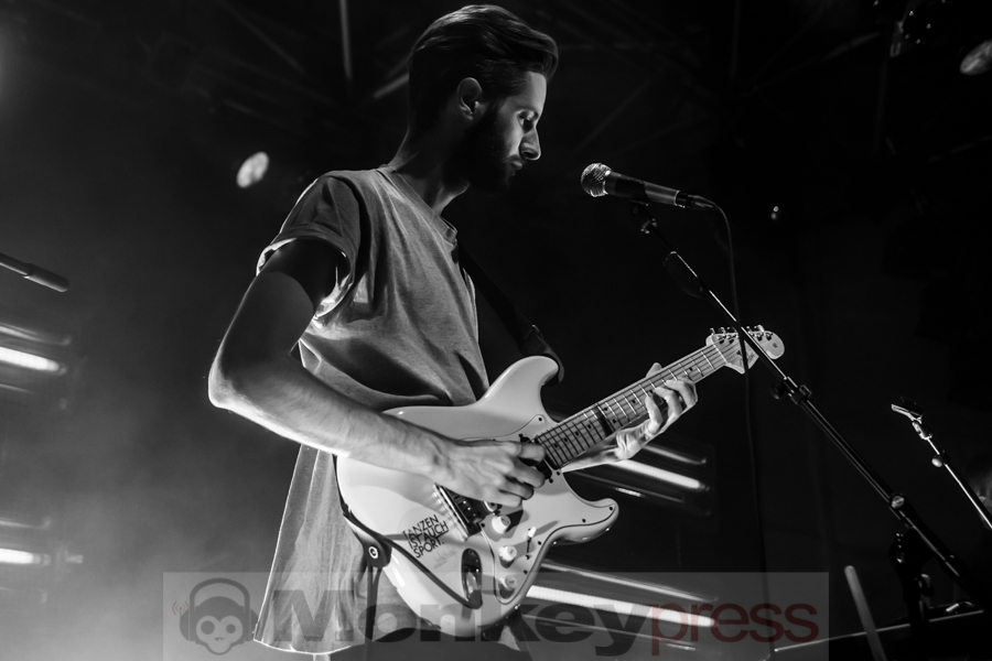 I Heart Sharks, © André Techert