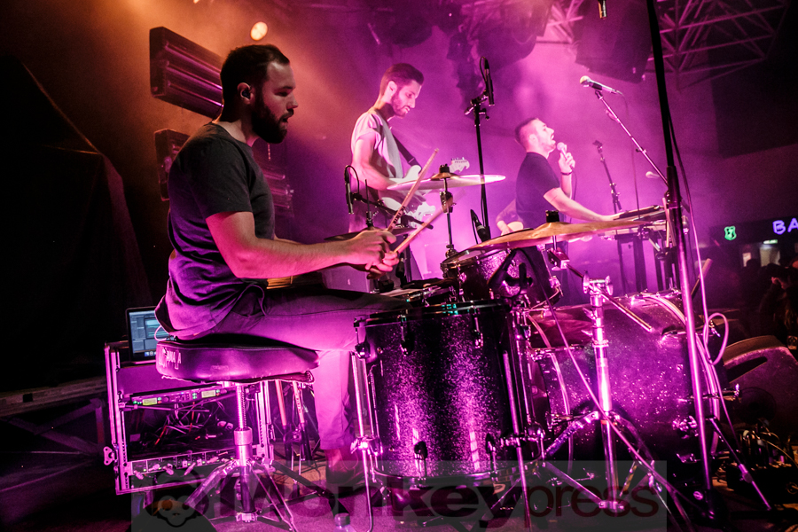 I Heart Sharks, © André Techert