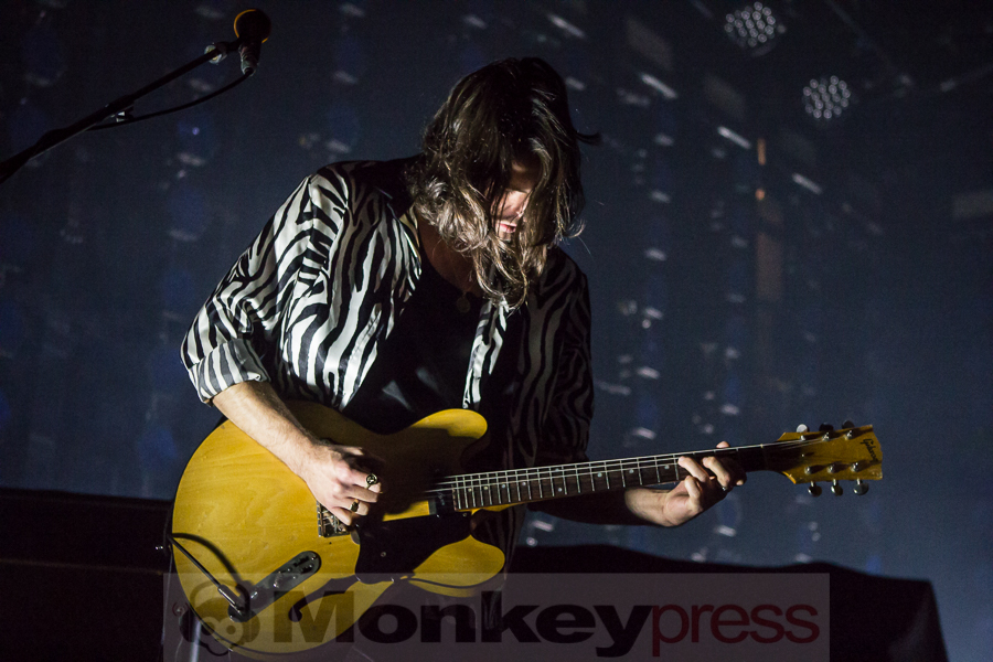 Black Honey, © Markus Hillgärtner