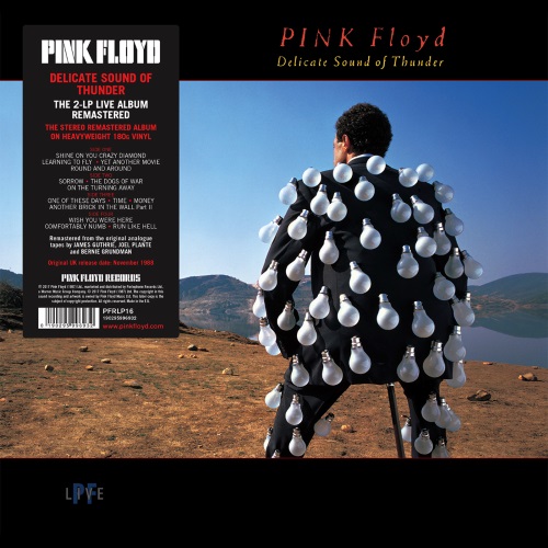 PINK FLOYD - Delicate Sound of Thunder (Doppel-LP)