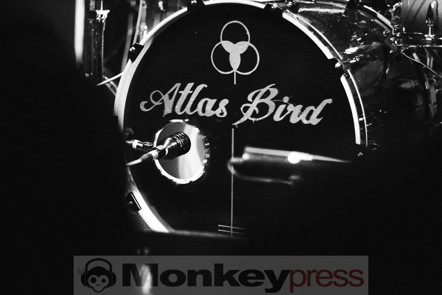 Atlas Bird, © Claudia Helmert