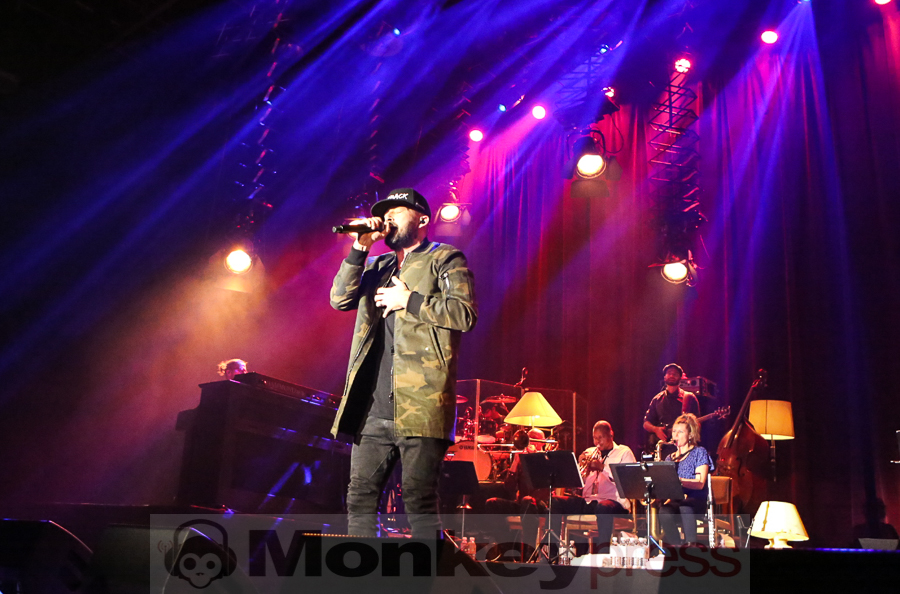 Gentleman, (c) Frank Halfmeier