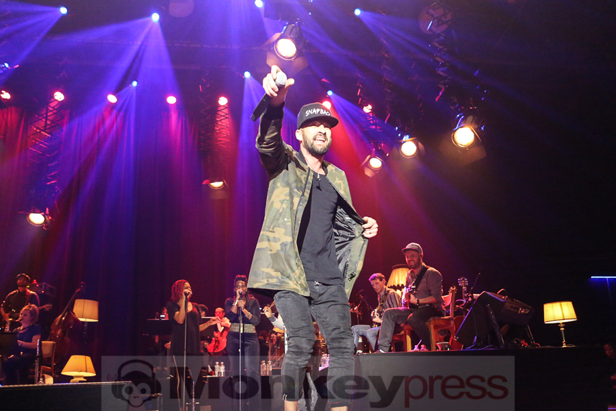 Gentleman, (c) Frank Halfmeier