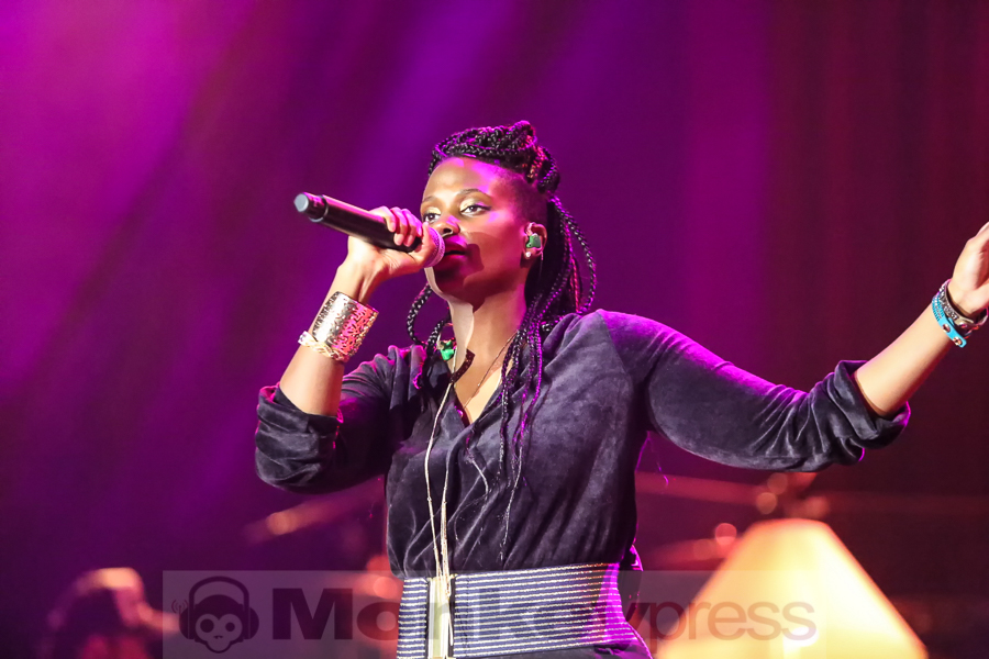 Gentleman, (c) Frank Halfmeier