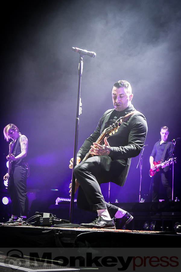 Broilers, © Michael Gamon