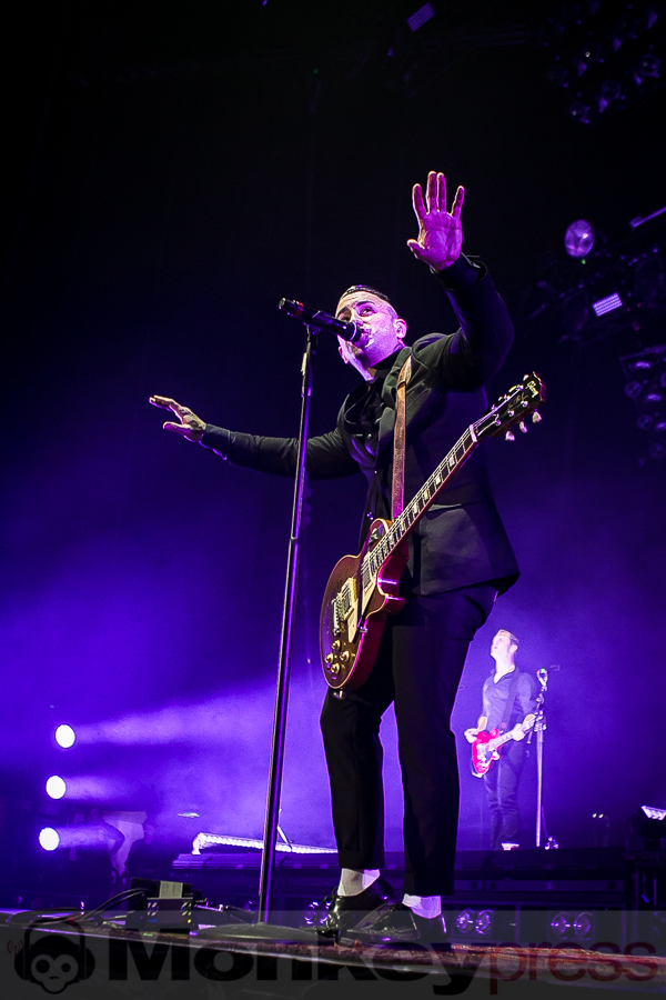 Broilers, © Michael Gamon